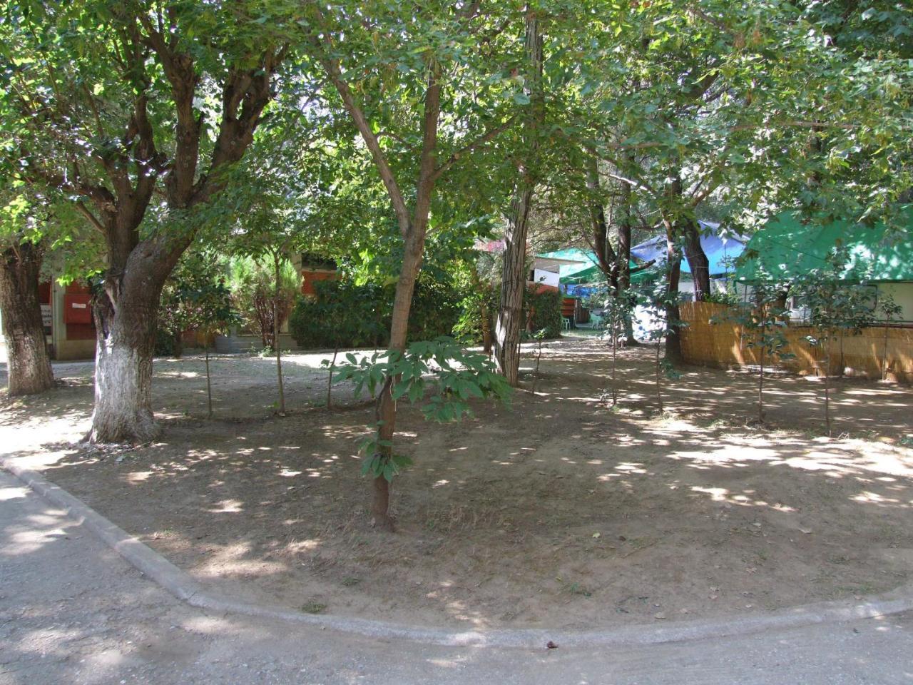 Camping Orpheus Apartments Neos Panteleimonas Dış mekan fotoğraf