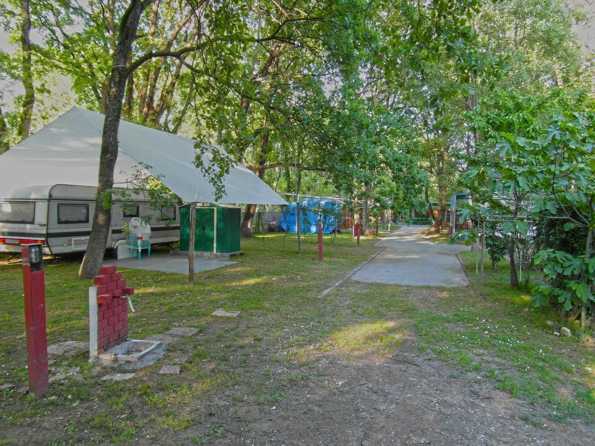 Camping Orpheus Apartments Neos Panteleimonas Dış mekan fotoğraf